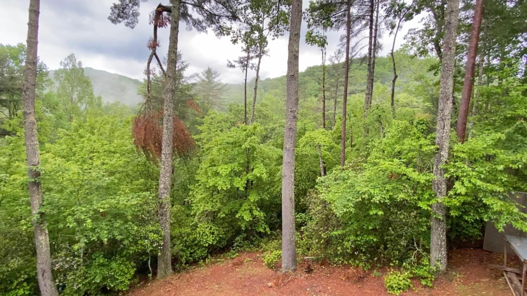 Villa The Cozy Lazy Laurel With Year-Round Mountain Views, Hot Tub, Fire Pit Cherry Log Exterior foto